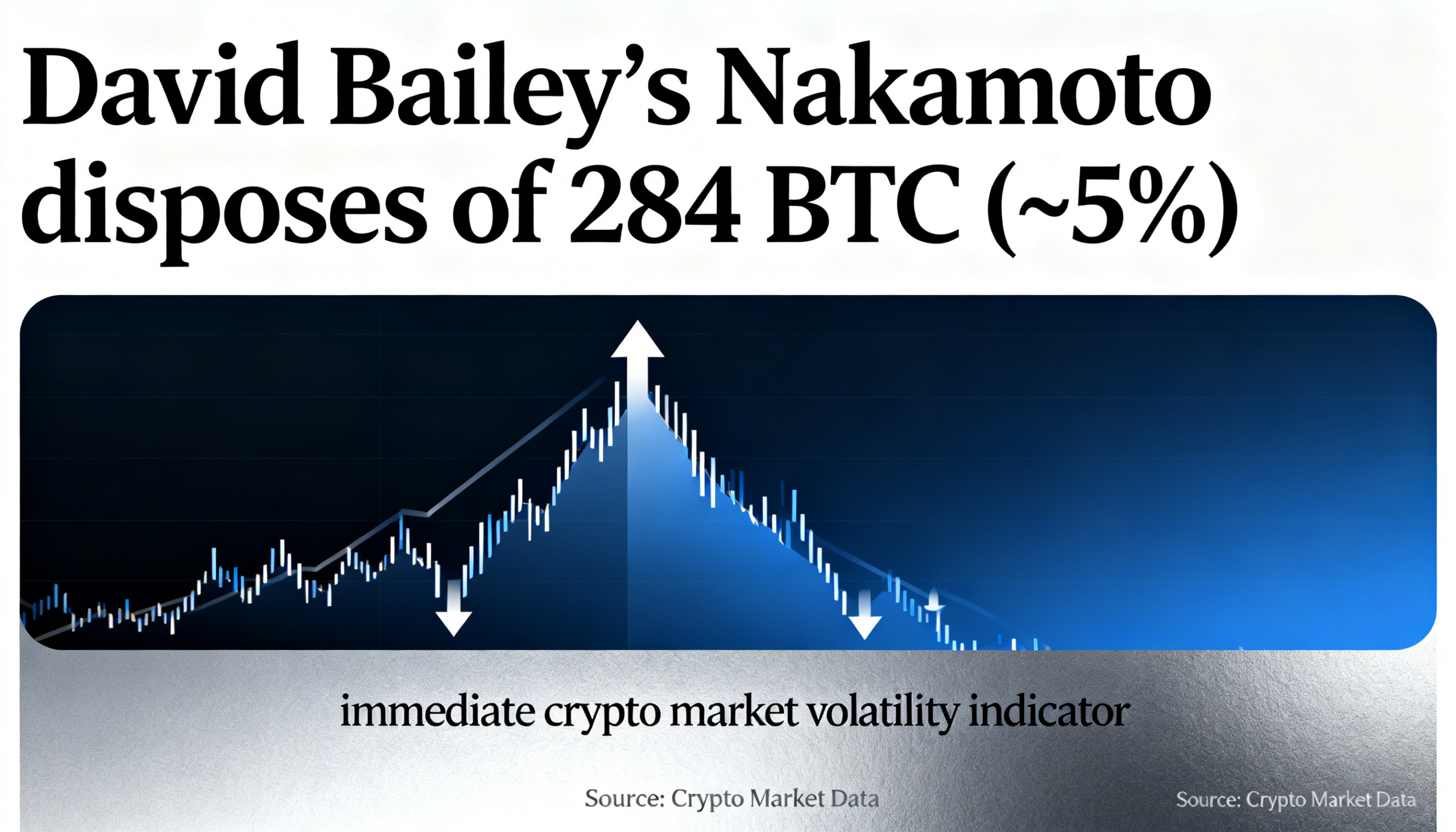 David Bailey’s Nakamoto liquidates 284 BTC, cutting its holdings by around 5%
